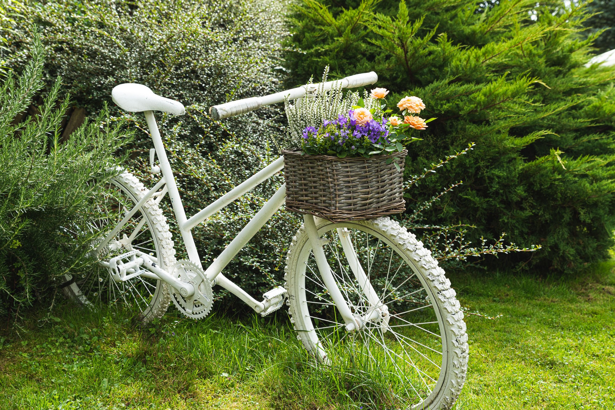 Joseba Abenojar Fotofrafia Bizkaia 53