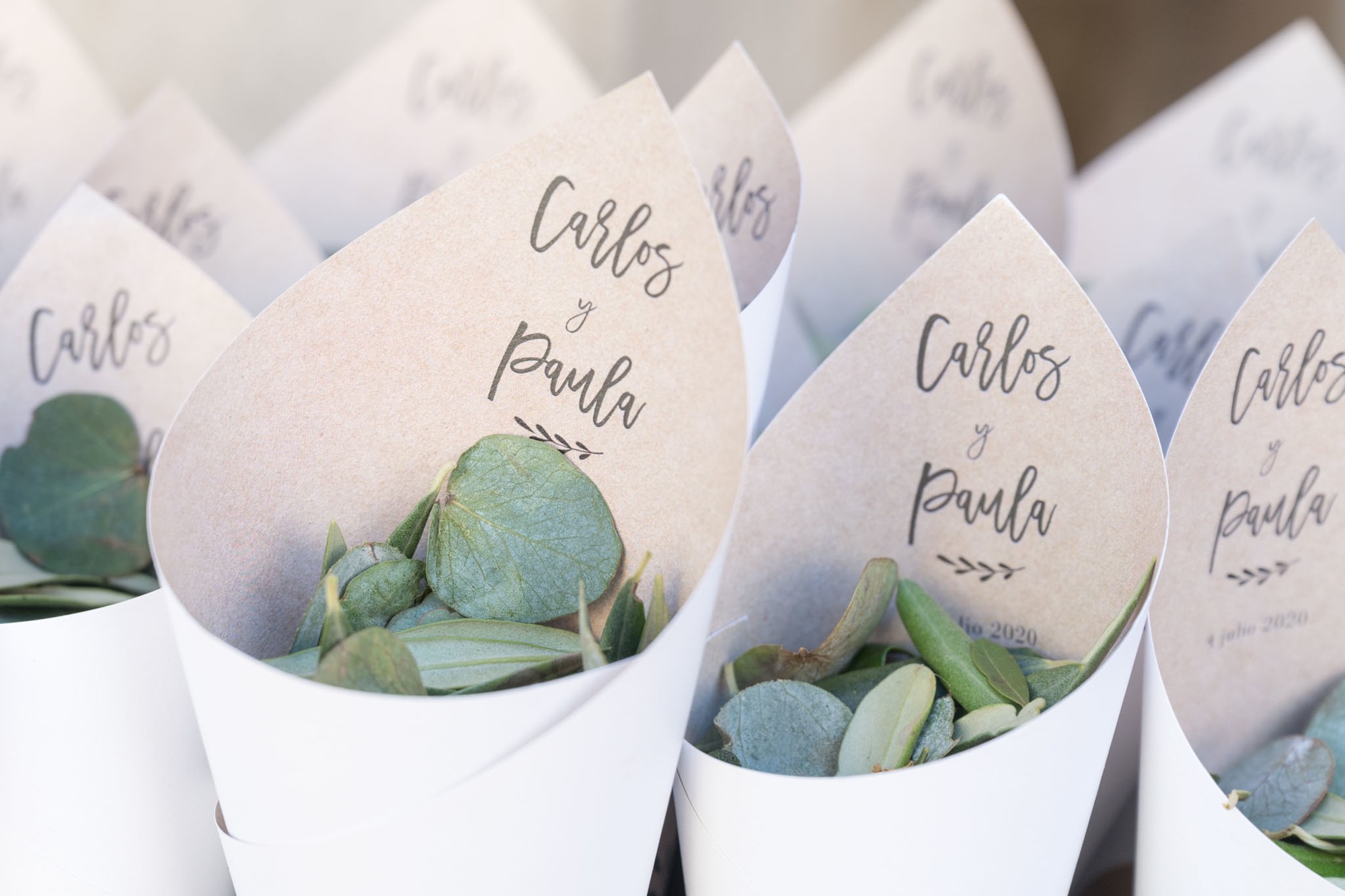 FOTOS-BODA--MARQUES DE VARGAS_29