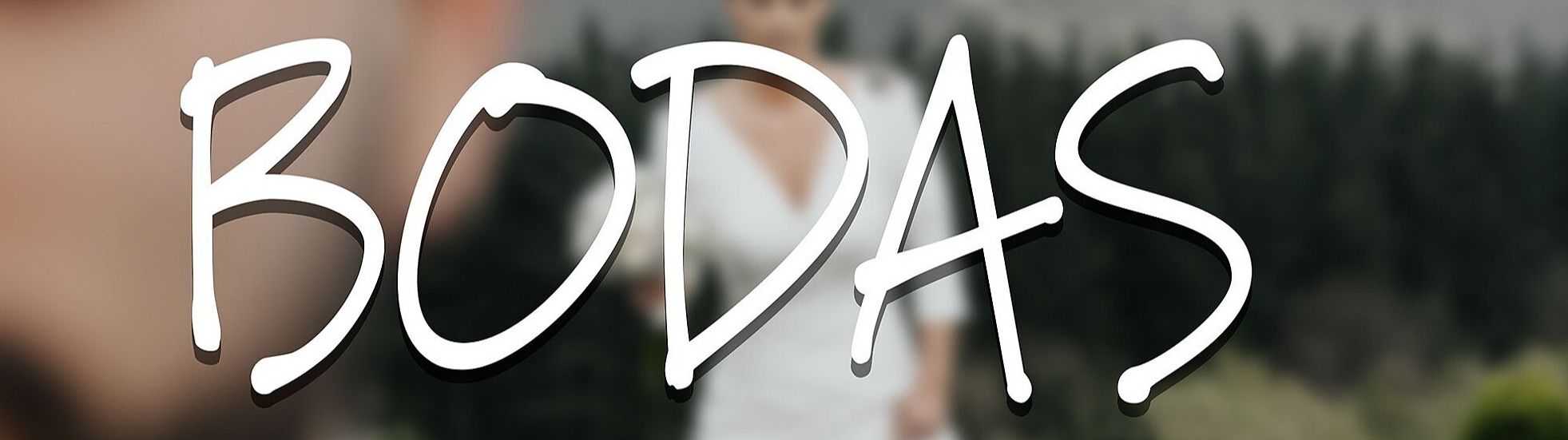 Fotógrafo de retrato y evento, Vizcaya / Bizkaia - portada-galeria-boda.jpg